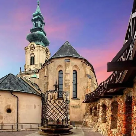 Luxusný 118m2 S Krbom V Centre Nitry