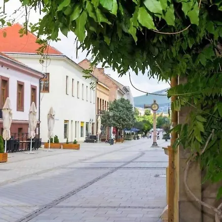 Luxusny 118m2 S Krbom V Centre Nitry